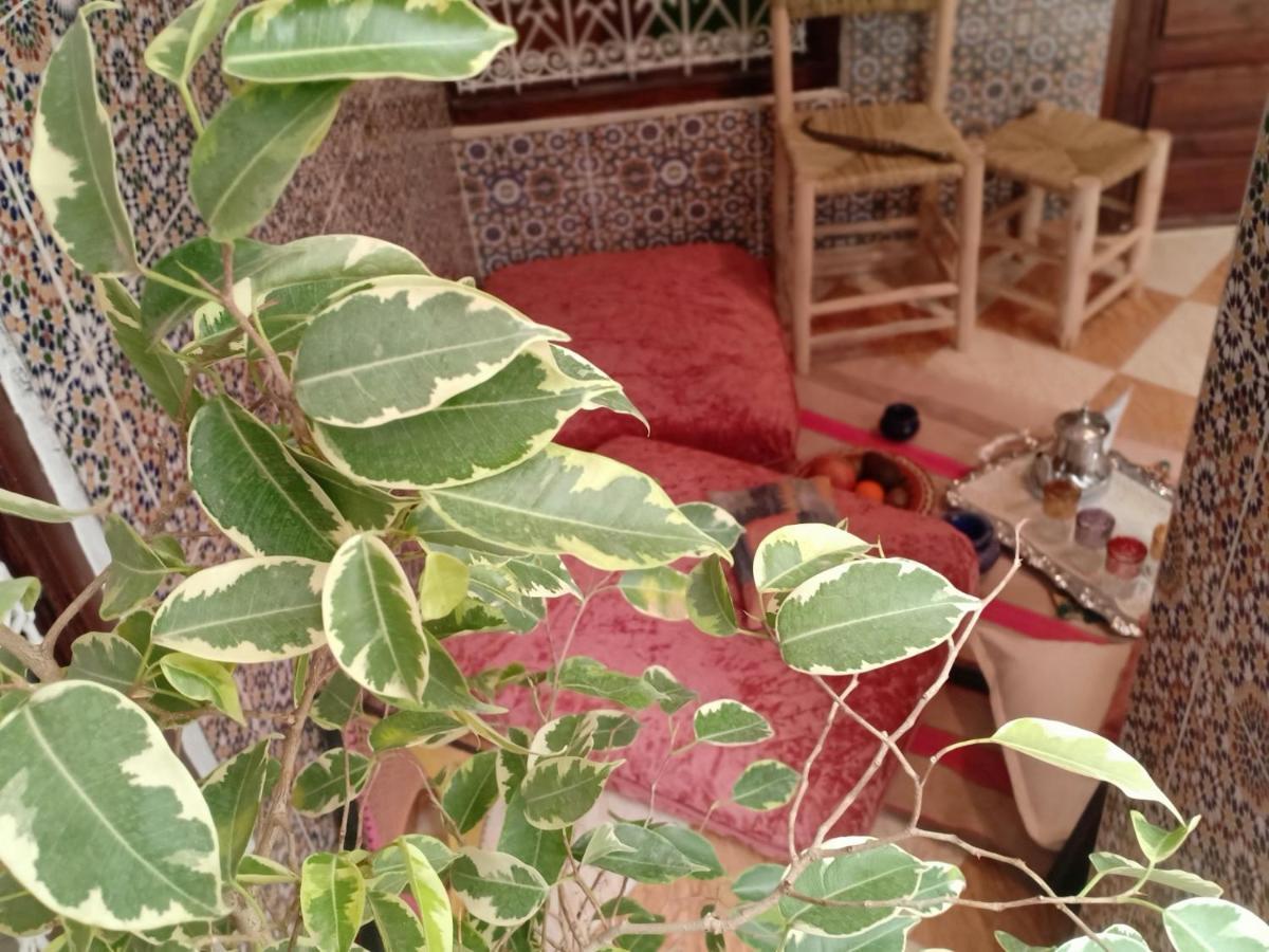 Riad White House Marrakesh Exterior photo